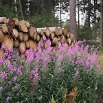 Hotel Harzhotel (adults Only) Güntersberge