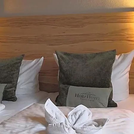 Harzhotel Hotel