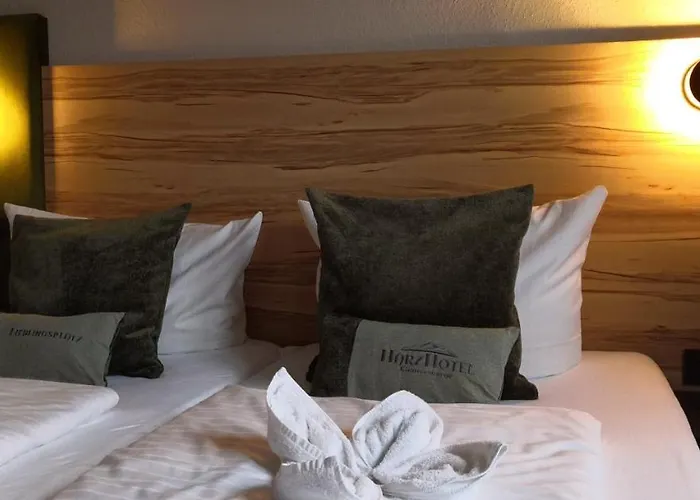 Harzhotel (adults Only) מלון