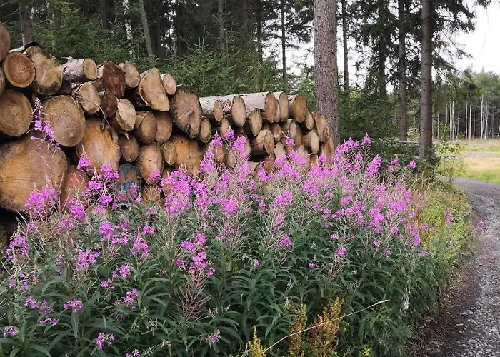 Hotell Harzhotel (adults Only) Güntersberge