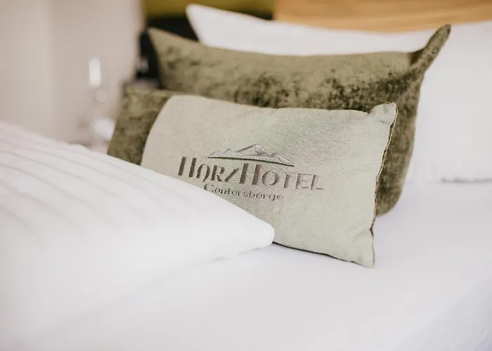 Harzhotel (adults Only) 3*