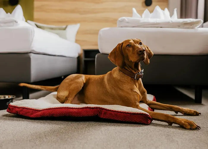 Harzhotel (adults Only) Güntersberge