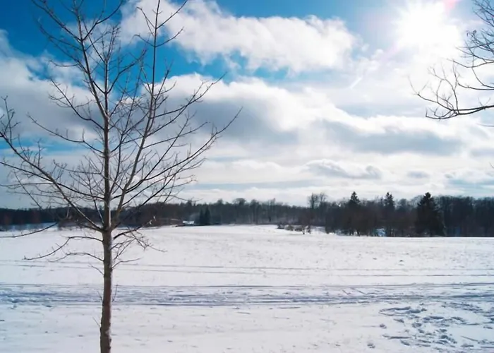 Hotell Harzhotel (adults Only) Güntersberge